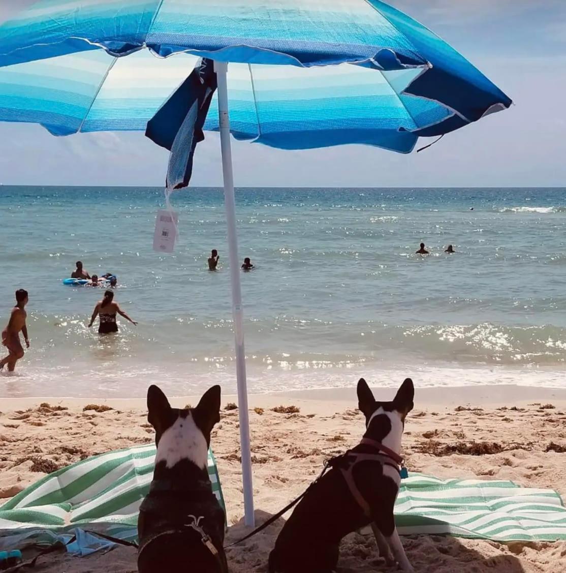 North Beach Steps To Sea Miami Apartment With Free Parking Family And Pet Friendly Miami Beach Ngoại thất bức ảnh